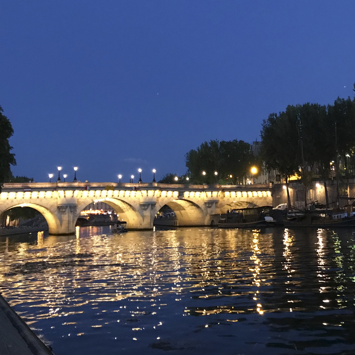 Seine Or Liquide Pont